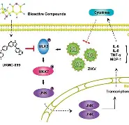开云体育 -肈*G?碙噧燎K蓾e侵\磠劵a櫌?稻膩(垚犇猋畾惢尛淼厽掱孨毳叒歮)